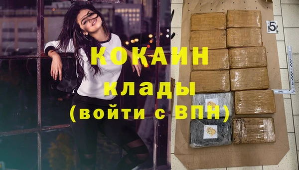 крисы Баксан