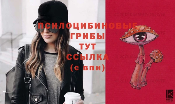 крисы Баксан