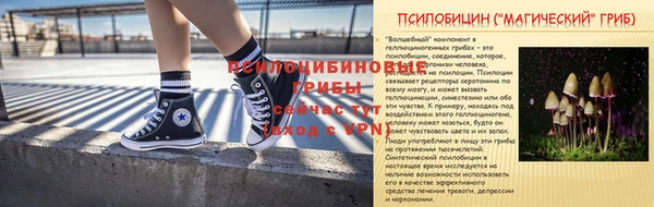 крисы Баксан
